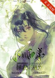 �ӳ���Ƭ��