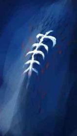 �����ĺ�����ү����������