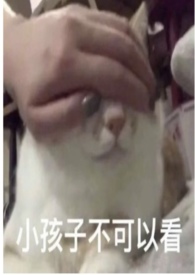 ����ʵ���Ʒ��