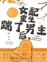 [�ۿ�������] ����������ʦ