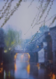 С������׸�����