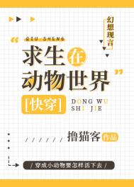 �벻Ҫ��������