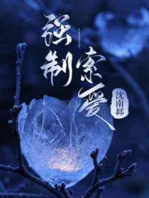 ����ʥĸŮ��С˵��