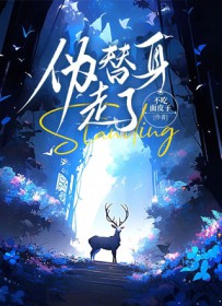 �ͷ������������/�����