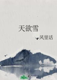 ����cp����������·