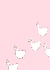 ���ֺ��������һ�ͷ