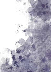 �ӳ������㾯��