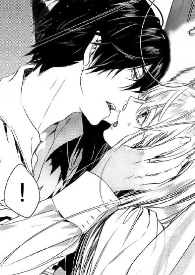 ����������ȡ�����