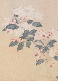 ����ҽԺ�ִ���