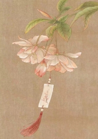 ���ж�Ȯ������