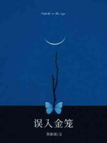 ��С�����˽���