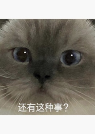 ϵͳ��ֹ��������������