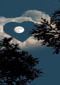 �ܾ��ҵİ��¹�����