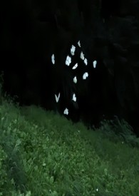 Ը�㻶ϲ����