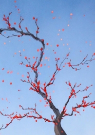 ���ɼҵ�С�๫������