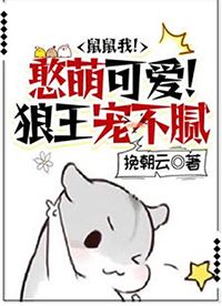 ��·�������������