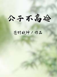 ��������S���򵼼��ߺ�