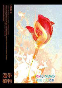 αװ��Ȯ�ļ�����