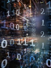 �����Ǹ�����