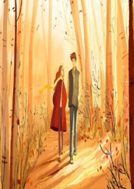 ����ĺ������ѽ