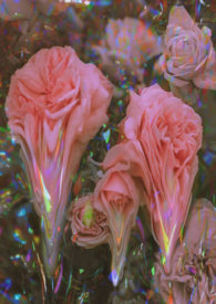 ����Ũ��H��