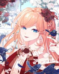 �����Ϲ������