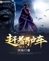 ����(���� 1v1)