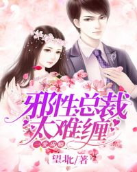 �ҵĵ�������������