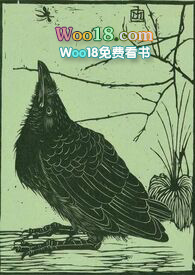 ���¹⿴����Ļ��