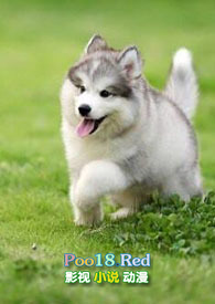 [����ͬ��] ��Ϊ��ģ�����ĸ��