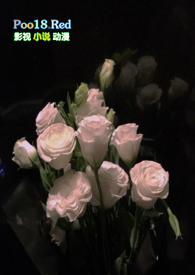 ���µ�����