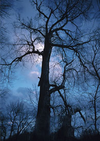 �����ڻҺ�ͻҹ���he��