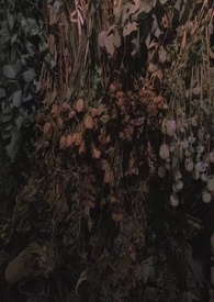 ����������������