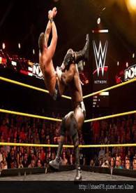 ��������������ҳɹ�������