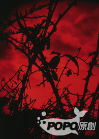 [��Ӣ��] ���ڸ�̷������