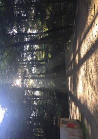 [ABO]������������Ϣ��