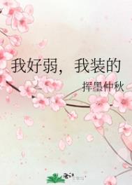 ����������[�촩]