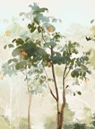 [��Ұͬ��] ̫������Ӣ�����