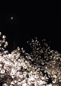 [����] ��ִ����