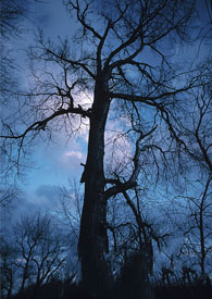 ����֮���ɹ���