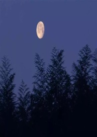 ���ħ����