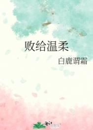 ����֮��