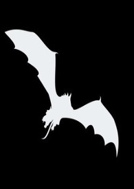 �����������￪������[����]