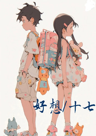 ������S���򵼲�����