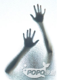 ��ʿ����������