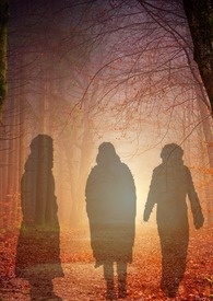 ��������ϵͳ