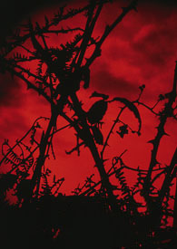 �����Ͽ��������Ϲ���