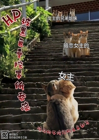 ����������ʧ������۰���