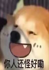 ����֮�氮