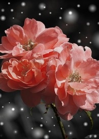 �󶨸���ϵͳ���ڻ�����������